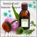 Herbal medicine to support the immune system