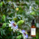 Passion flower tincture has a reputation for calming the mind and encouraging restful sleep.