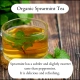 Organic loose leaf spearmint tea from UK