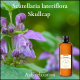 skullcap tincture, scutellaria lateriflora tincture, for relaxation and sleep.