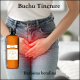 Buchu tincture, barosma betulina, uti