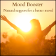 Mood booster tincture natural support to improve mood, mental health, depression