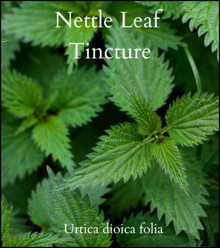 Nettle tincture, urtica dioica folia, nettle leaf tincture,