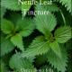 Nettle tincture, urtica dioica folia, nettle leaf tincture,