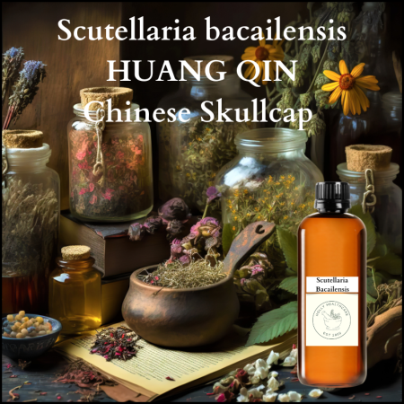 Scutellaria bacailensis tincture, Chinese skullcap tincture, Huang qin