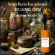 Scutellaria bacailensis tincture, Chinese skullcap tincture, Huang qin