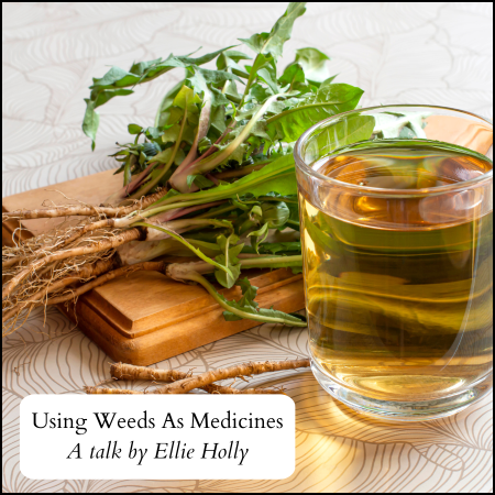 Medical herbalist Ellie Holly's talk on herbal medicine, the value of weeds