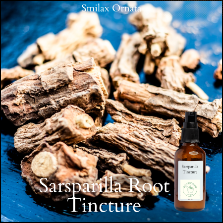Sarsparilla tincture, smilax ornata root tincture