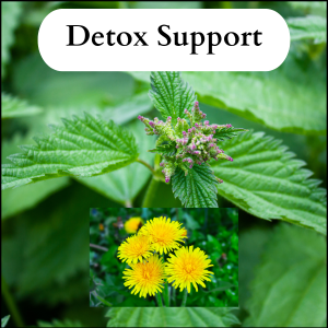 Detox Support
