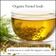 Organic fennel seeds loose tea UK