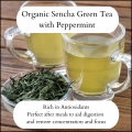 Organic loose leaf Sencha green tea combined with peppermint leaves