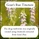 Goat's Rue Tincture (Galega Officinalis)