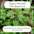 Organic Tulsi tea (Rama holy basil) loose leaf dried herbal tea for stress support and wellbeing